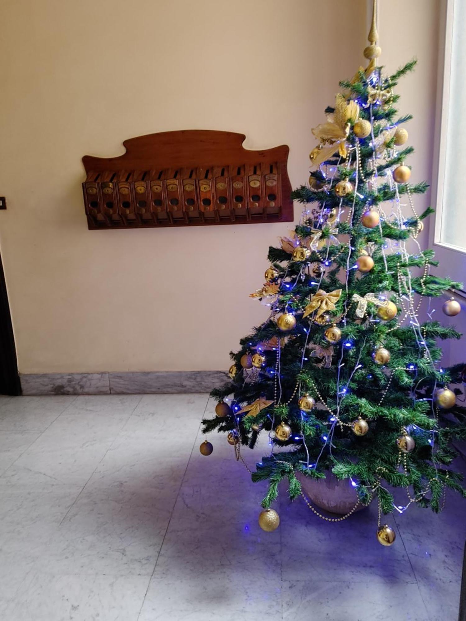 Studio Flat Trastevere Rom Exterior foto