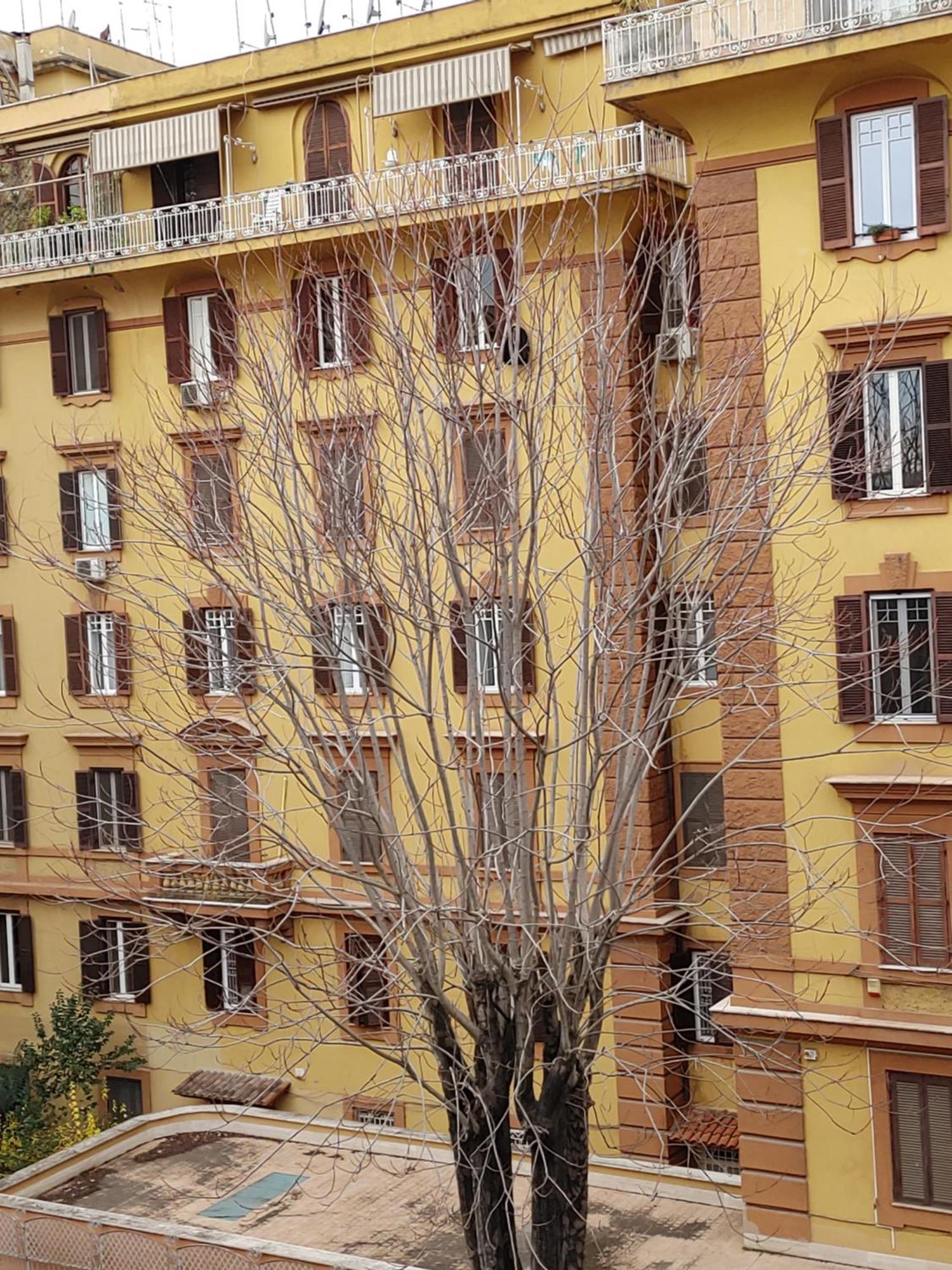 Studio Flat Trastevere Rom Exterior foto